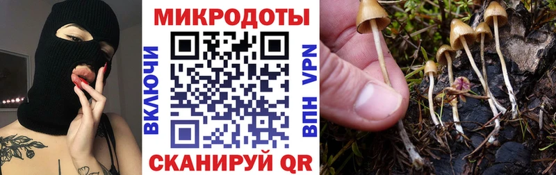 Галлюциногенные грибы мицелий  закладка  Усть-Катав 
